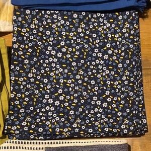 Blue Flowers Decorative Placemats/Napkins (4 total) NEW. Spring flower prints